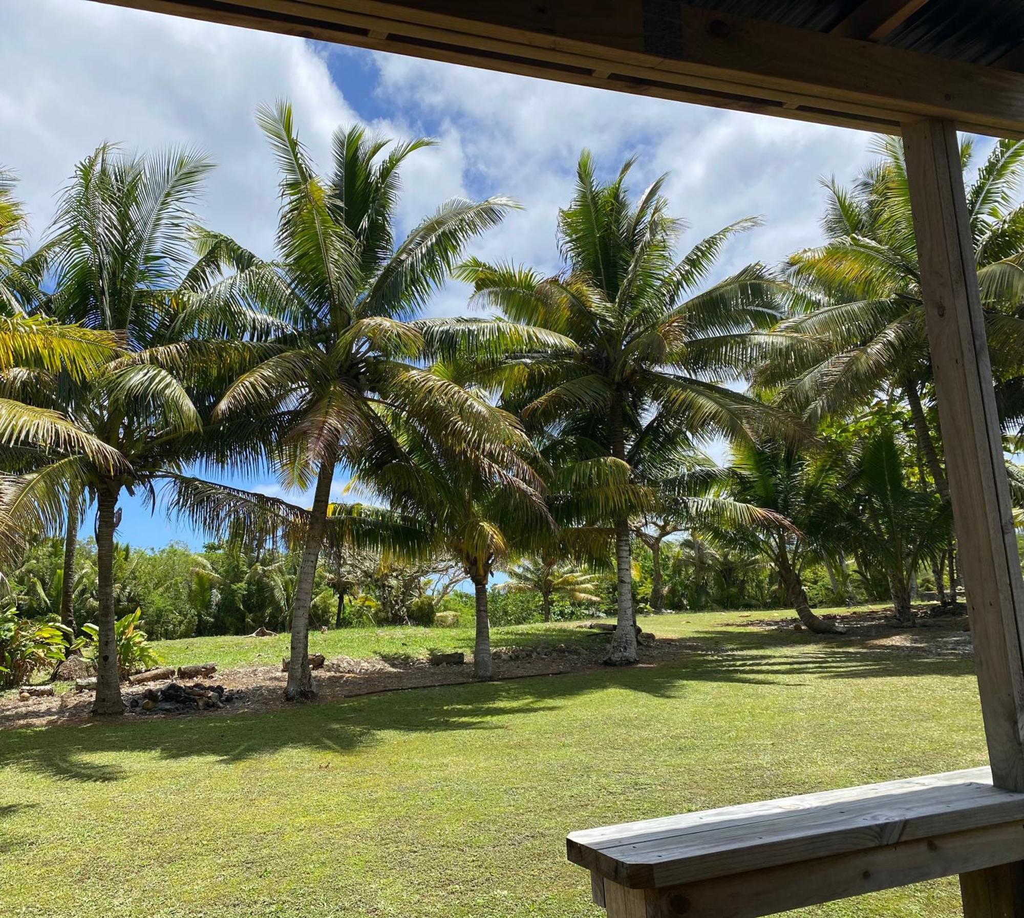 David'S Fale, Alofi, Niue 외부 사진